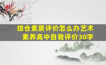 综合素质评价怎么办艺术素养高中自我评价30字