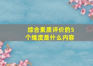 综合素质评价的5个维度是什么内容