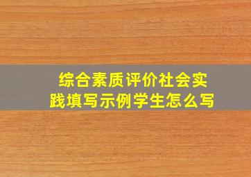 综合素质评价社会实践填写示例学生怎么写