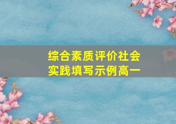 综合素质评价社会实践填写示例高一