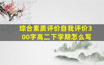 综合素质评价自我评价300字高二下学期怎么写