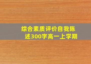 综合素质评价自我陈述300字高一上学期