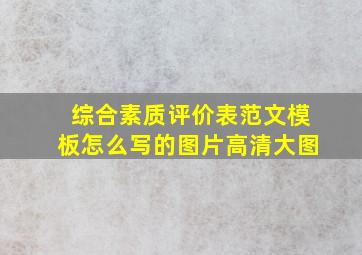 综合素质评价表范文模板怎么写的图片高清大图