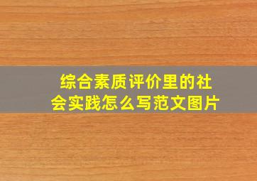 综合素质评价里的社会实践怎么写范文图片