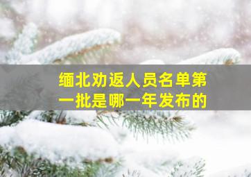 缅北劝返人员名单第一批是哪一年发布的