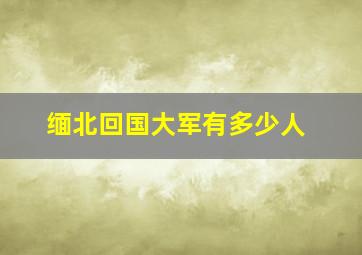 缅北回国大军有多少人