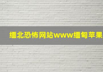 缅北恐怖网站www缅甸苹果