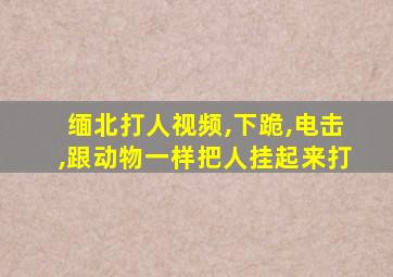 缅北打人视频,下跪,电击,跟动物一样把人挂起来打