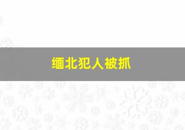 缅北犯人被抓