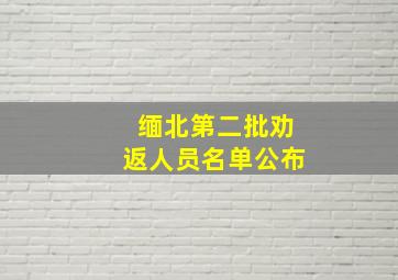 缅北第二批劝返人员名单公布