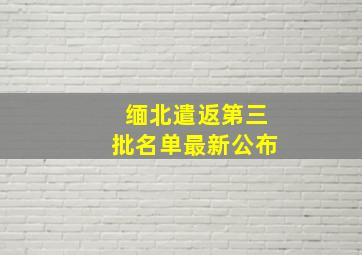 缅北遣返第三批名单最新公布