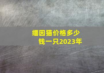 缅因猫价格多少钱一只2023年