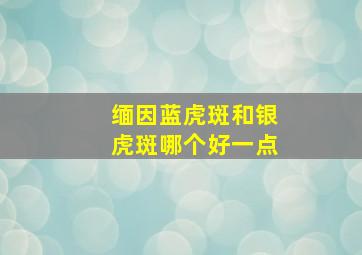 缅因蓝虎斑和银虎斑哪个好一点