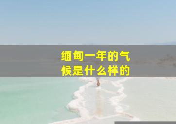 缅甸一年的气候是什么样的