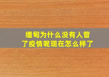 缅甸为什么没有人管了疫情呢现在怎么样了