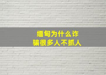 缅甸为什么诈骗很多人不抓人