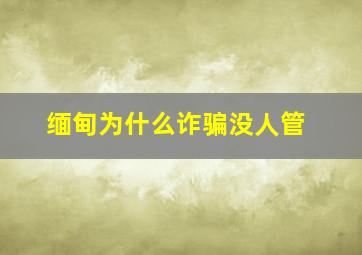 缅甸为什么诈骗没人管