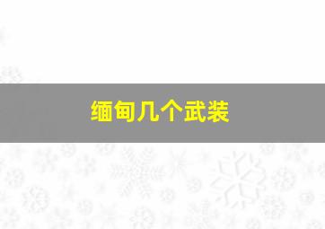 缅甸几个武装