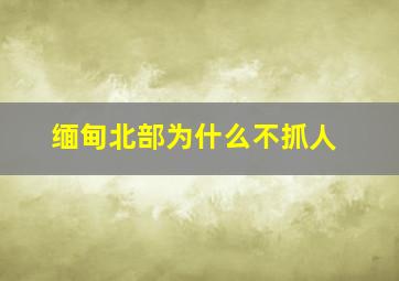 缅甸北部为什么不抓人