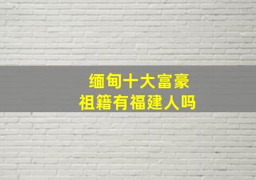 缅甸十大富豪祖籍有福建人吗