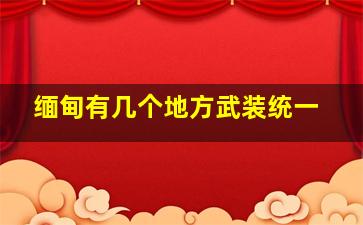 缅甸有几个地方武装统一