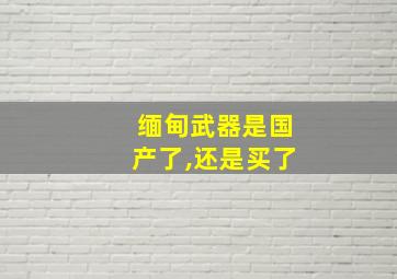 缅甸武器是国产了,还是买了