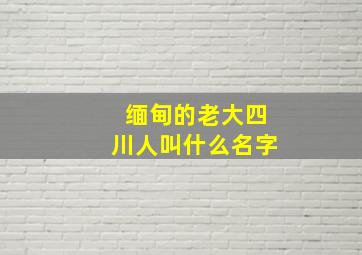 缅甸的老大四川人叫什么名字