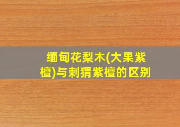 缅甸花梨木(大果紫檀)与刺猬紫檀的区别