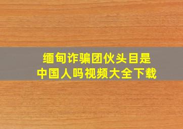 缅甸诈骗团伙头目是中国人吗视频大全下载