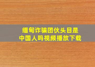 缅甸诈骗团伙头目是中国人吗视频播放下载