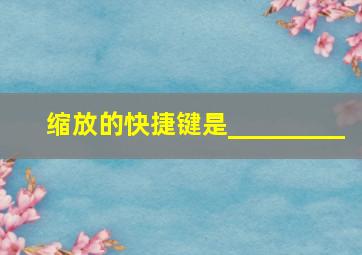 缩放的快捷键是_________