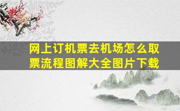 网上订机票去机场怎么取票流程图解大全图片下载