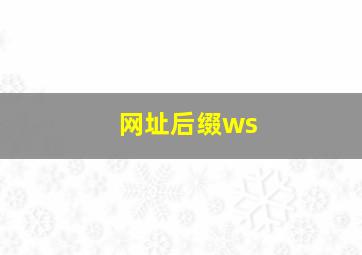 网址后缀ws