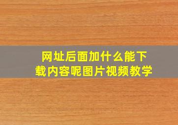 网址后面加什么能下载内容呢图片视频教学