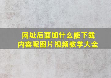 网址后面加什么能下载内容呢图片视频教学大全