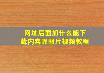 网址后面加什么能下载内容呢图片视频教程