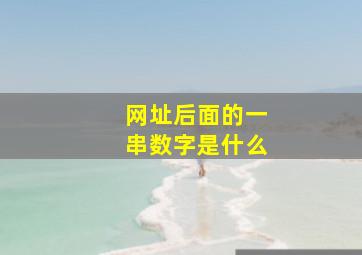 网址后面的一串数字是什么