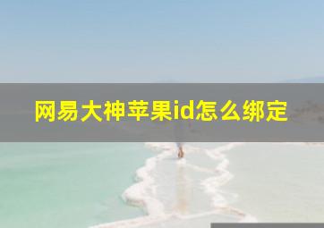 网易大神苹果id怎么绑定