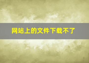 网站上的文件下载不了