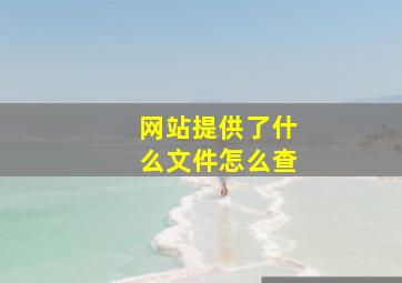 网站提供了什么文件怎么查