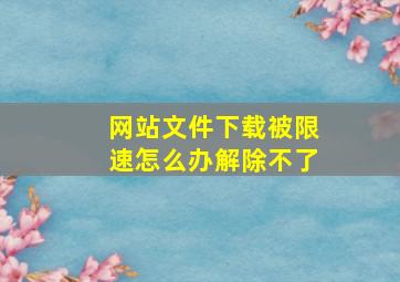 网站文件下载被限速怎么办解除不了