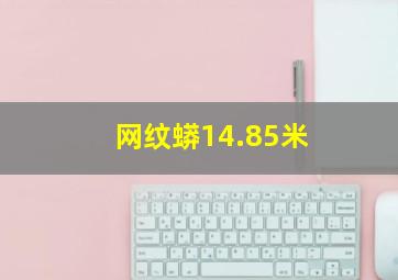 网纹蟒14.85米