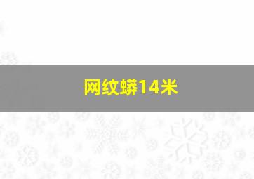 网纹蟒14米