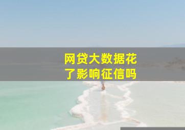 网贷大数据花了影响征信吗