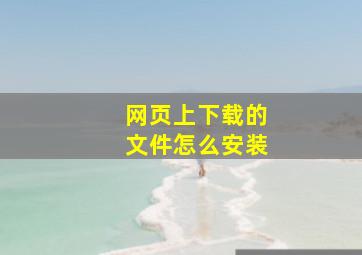 网页上下载的文件怎么安装