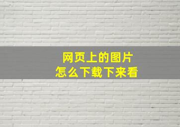 网页上的图片怎么下载下来看