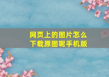 网页上的图片怎么下载原图呢手机版