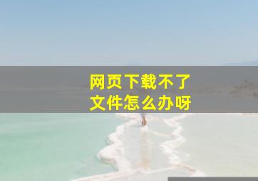 网页下载不了文件怎么办呀