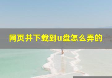 网页并下载到u盘怎么弄的