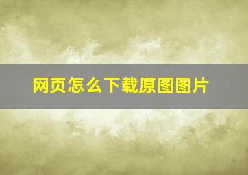 网页怎么下载原图图片